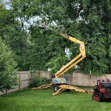 Best Tree Preservation Services  in Seaside, CA